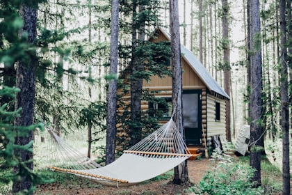 Forest cabin
